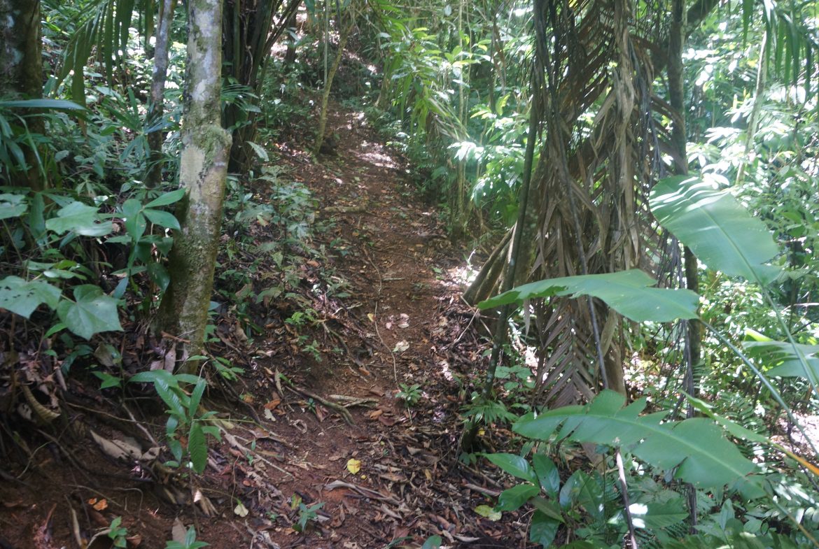 A SEAMLESS BLEND OF NATURE AND COMFORT WITH PAVED ACCESS – 17.1 ACRES