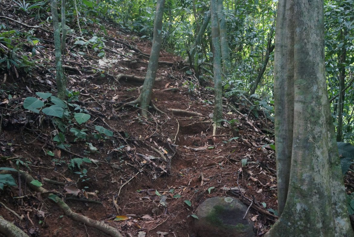 A SEAMLESS BLEND OF NATURE AND COMFORT WITH PAVED ACCESS – 17.1 ACRES