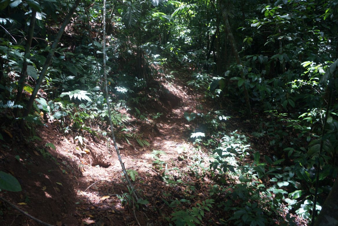A SEAMLESS BLEND OF NATURE AND COMFORT WITH PAVED ACCESS – 17.1 ACRES