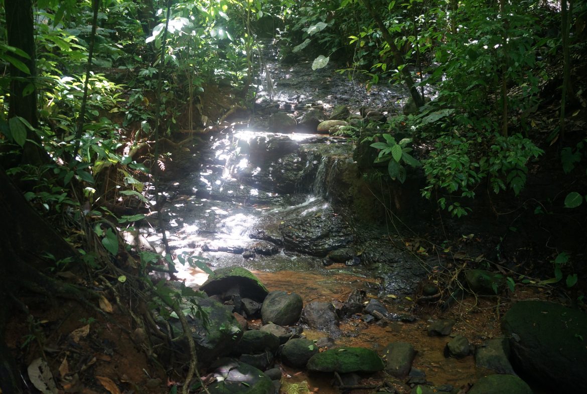 A SEAMLESS BLEND OF NATURE AND COMFORT WITH PAVED ACCESS – 17.1 ACRES