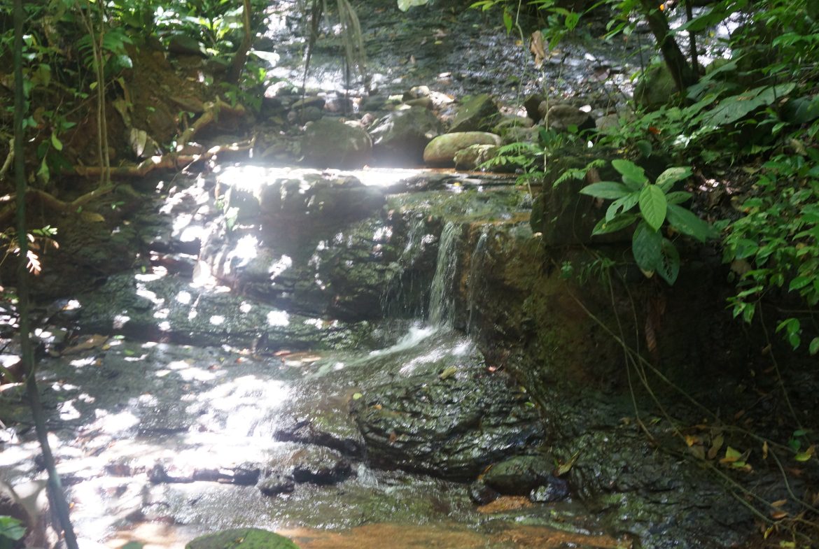 A SEAMLESS BLEND OF NATURE AND COMFORT WITH PAVED ACCESS – 17.1 ACRES