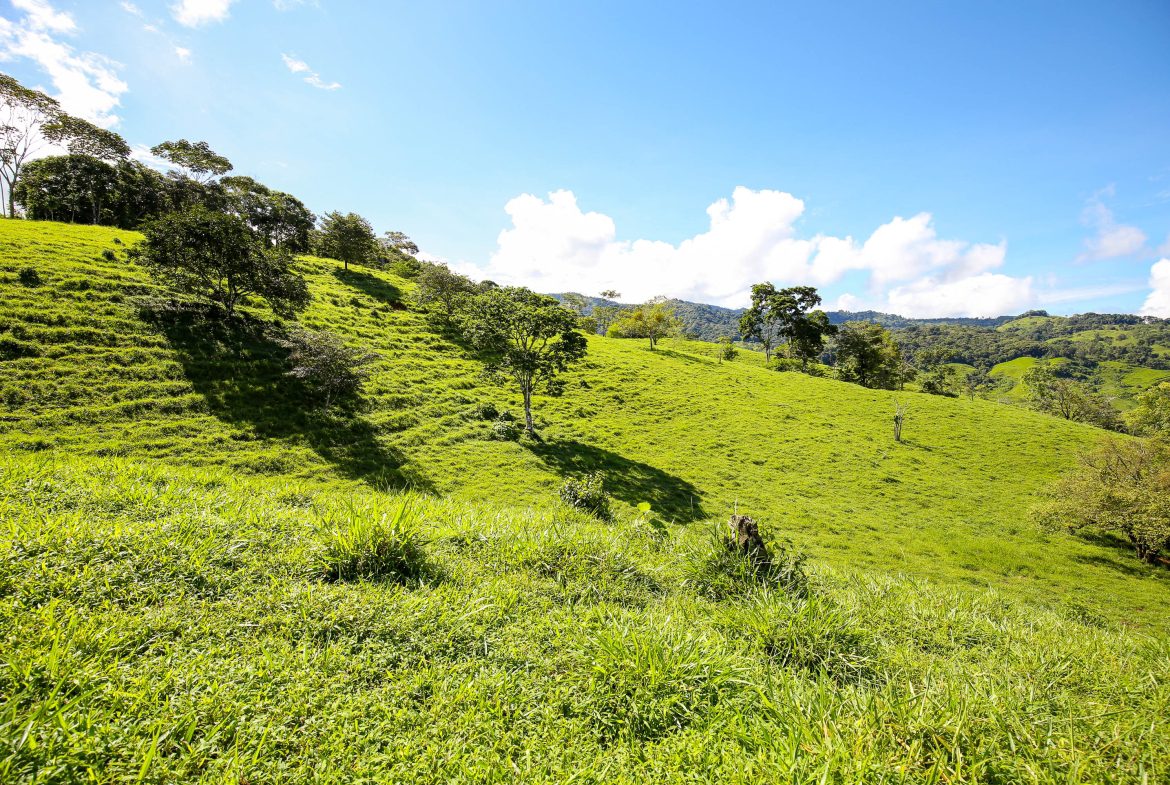 “THE FARM OF THE SECRET STONE” WITH WATER SPRINGS, FULL RIVER ACCESS AND SWIMMING HOLES – 191 ACRES