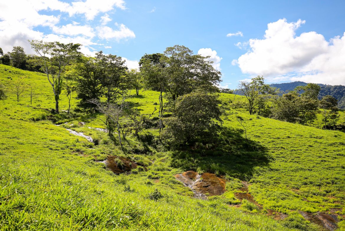 “THE FARM OF THE SECRET STONE” WITH WATER SPRINGS, FULL RIVER ACCESS AND SWIMMING HOLES – 191 ACRES