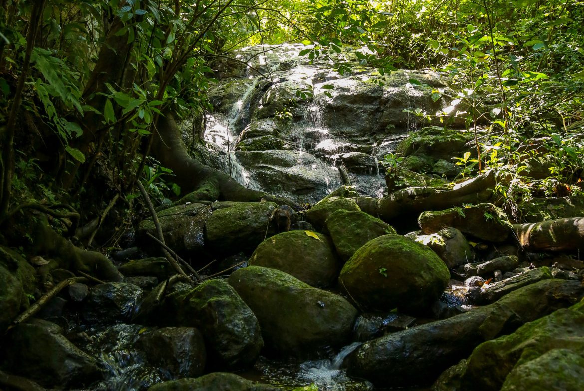“THE FARM OF THE SECRET STONE” WITH WATER SPRINGS, FULL RIVER ACCESS AND SWIMMING HOLES – 191 ACRES