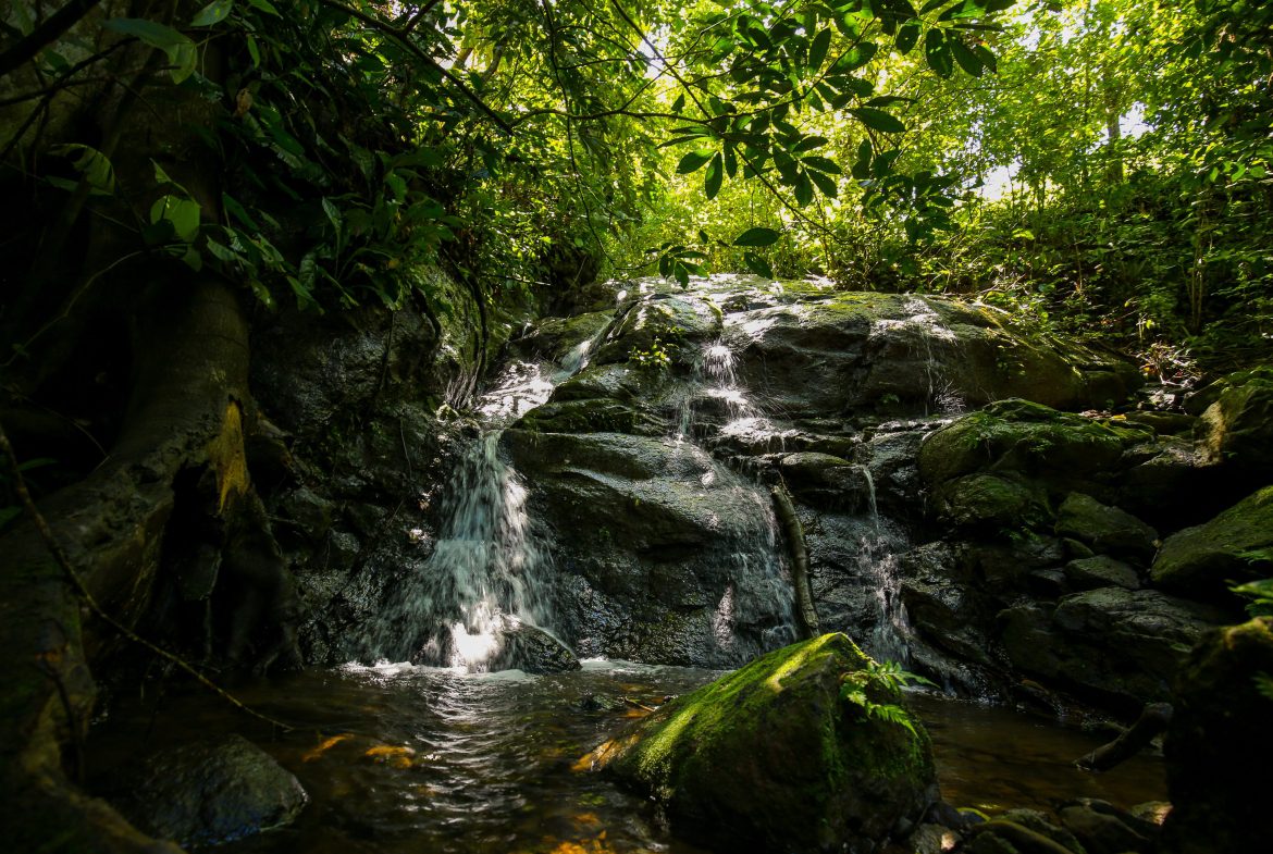 “THE FARM OF THE SECRET STONE” WITH WATER SPRINGS, FULL RIVER ACCESS AND SWIMMING HOLES – 191 ACRES