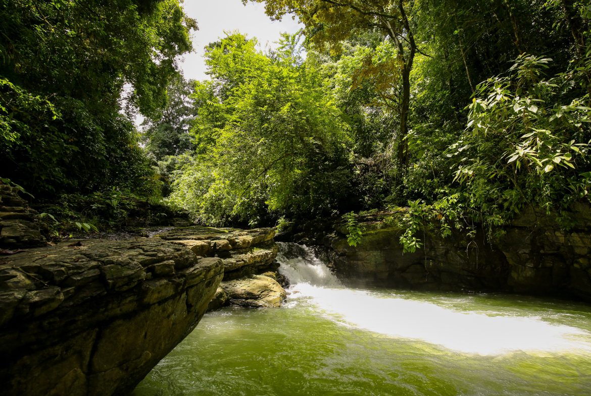 “THE FARM OF THE SECRET STONE” WITH WATER SPRINGS, FULL RIVER ACCESS AND SWIMMING HOLES – 191 ACRES