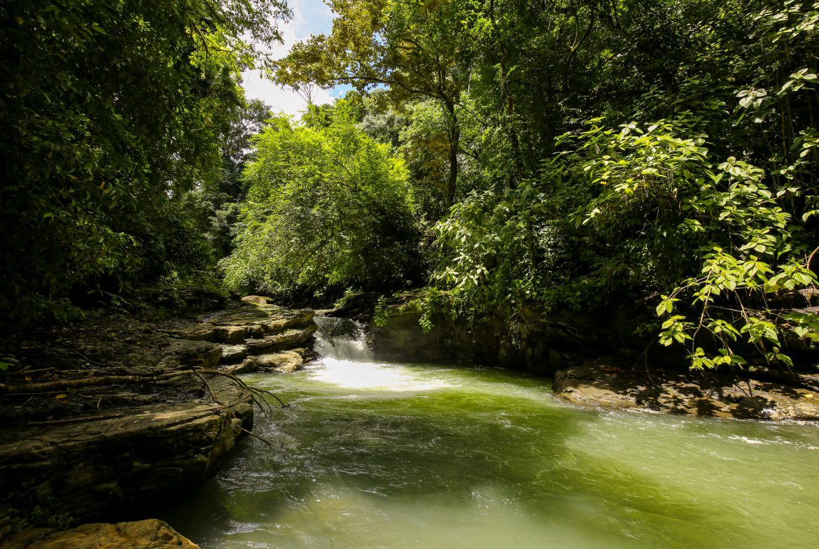 “THE FARM OF THE SECRET STONE” WITH WATER SPRINGS, FULL RIVER ACCESS AND SWIMMING HOLES – 191 ACRES