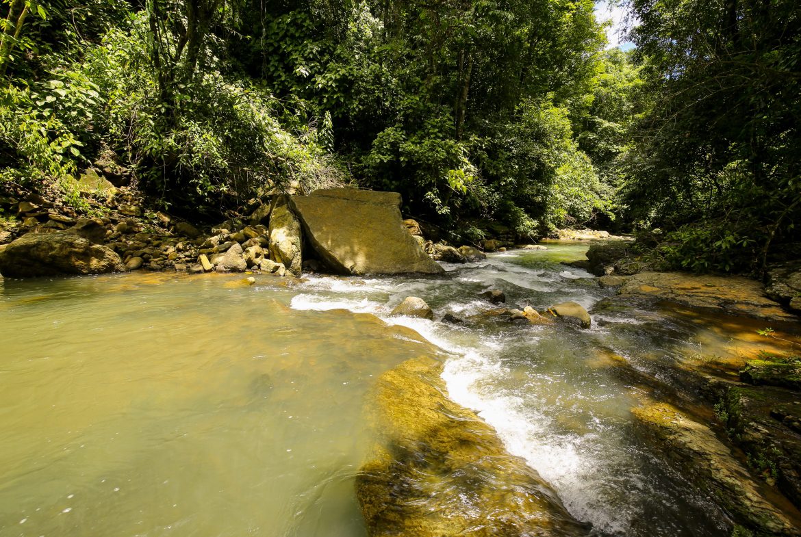 “THE FARM OF THE SECRET STONE” WITH WATER SPRINGS, FULL RIVER ACCESS AND SWIMMING HOLES – 191 ACRES