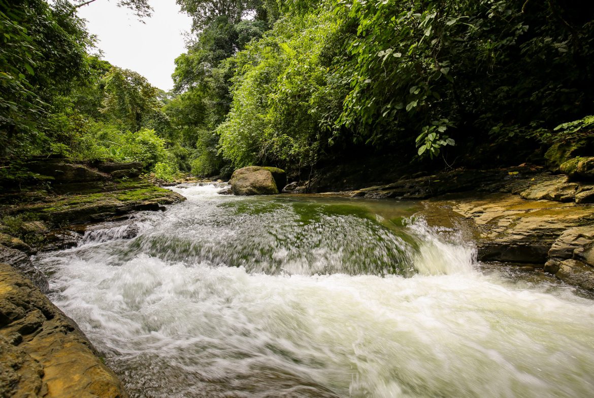 “THE FARM OF THE SECRET STONE” WITH WATER SPRINGS, FULL RIVER ACCESS AND SWIMMING HOLES – 191 ACRES
