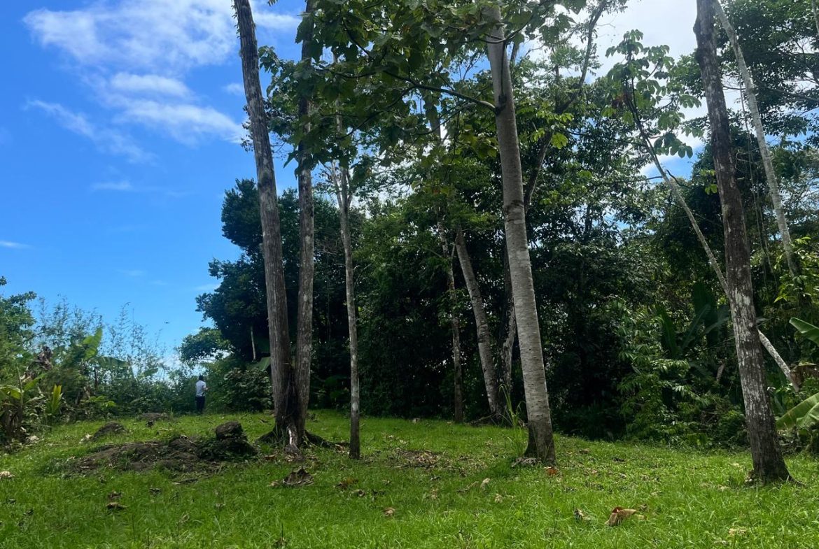FINCA LA PAZ FARM WITH AMAZING MOUNTAIN VIEWS, CREEK AND COOL CLIMATE – 4 ACRES