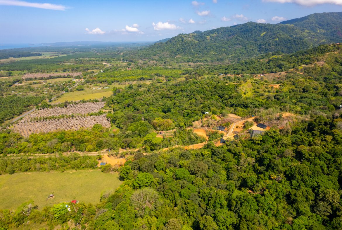 PREMIUM LOTS IN GATED COMMUNITY – 1.24 ACRES