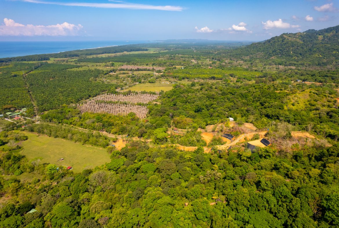 PREMIUM LOTS IN GATED COMMUNITY – 1.24 ACRES