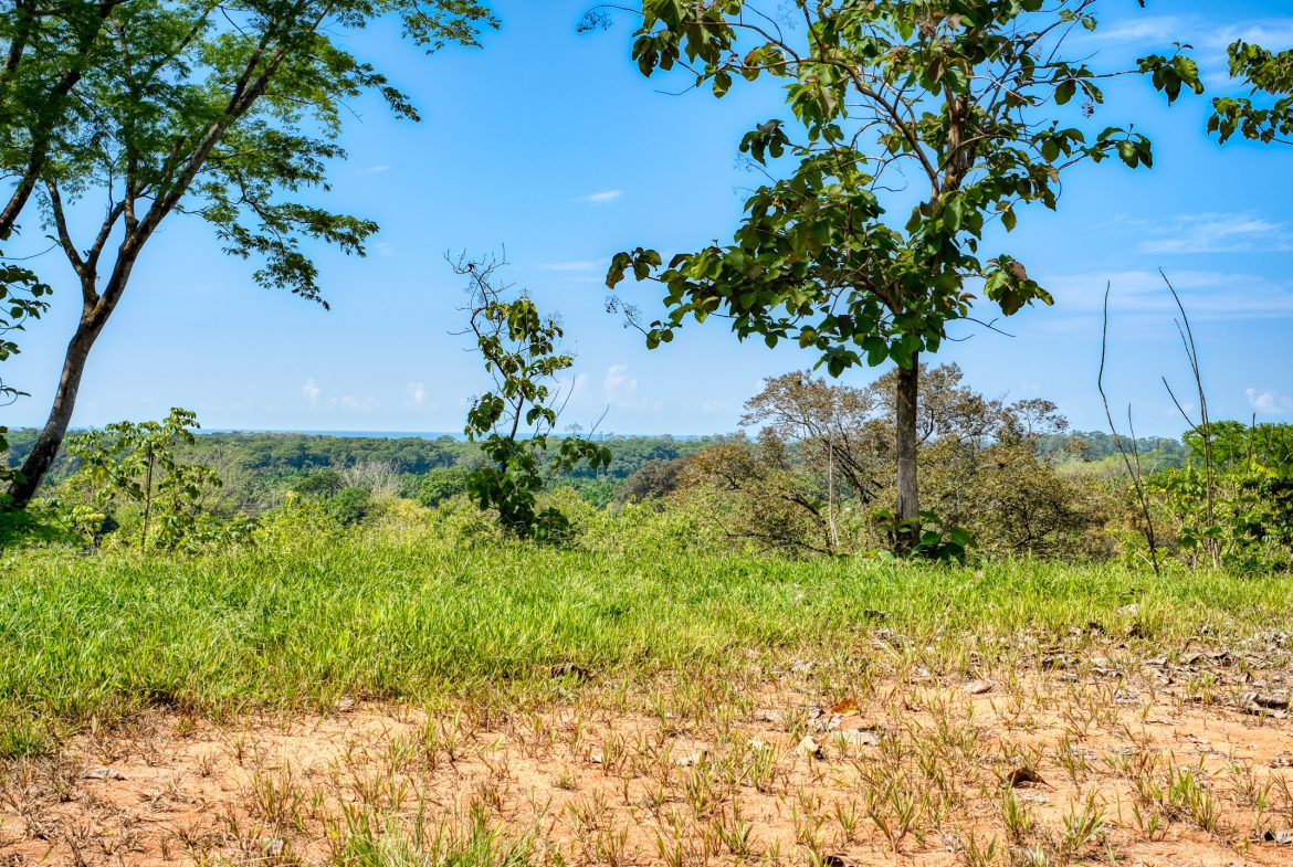 PREMIUM LOTS IN GATED COMMUNITY – 1.24 ACRES