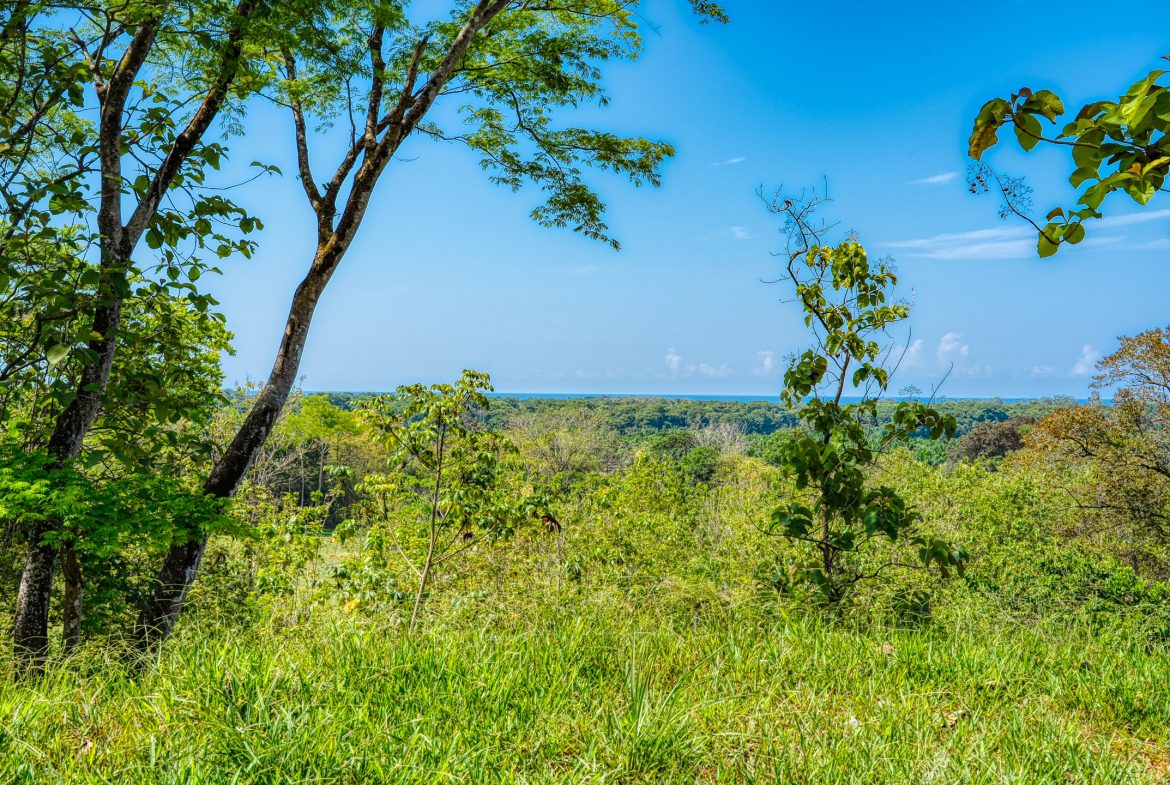 PREMIUM LOTS IN GATED COMMUNITY – 1.24 ACRES