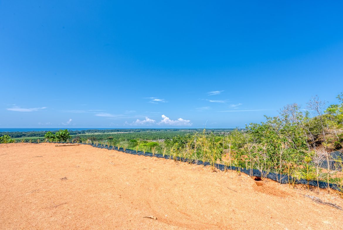 PREMIUM LOTS IN GATED COMMUNITY – 1.24 ACRES