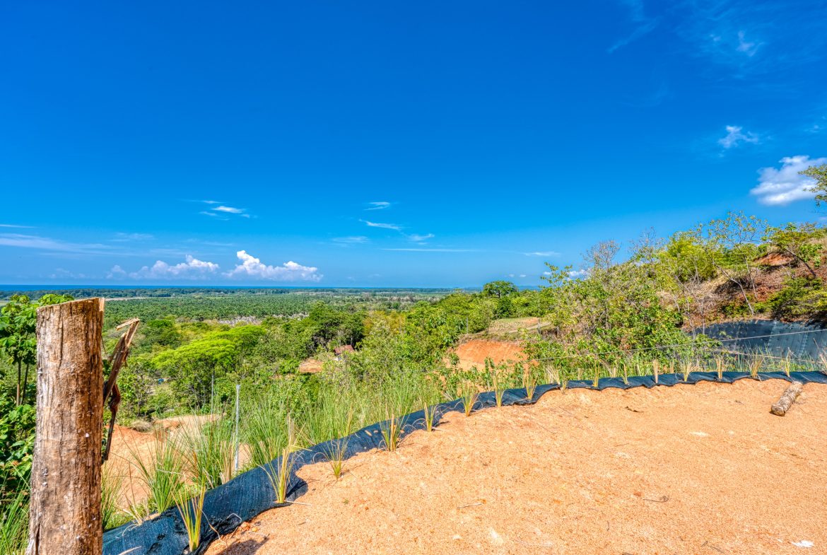 PREMIUM LOTS IN GATED COMMUNITY – 1.24 ACRES