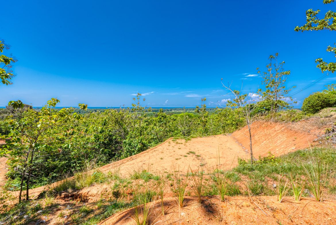 PREMIUM LOTS IN GATED COMMUNITY – 1.24 ACRES