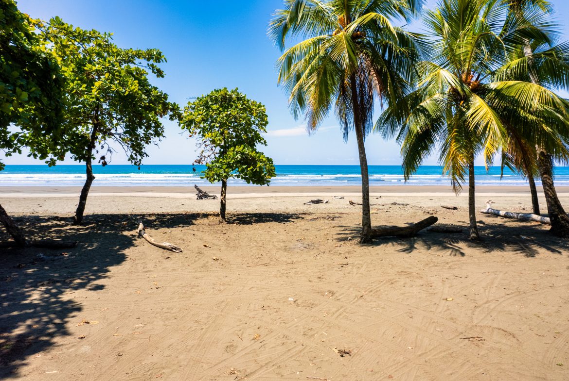 PREMIUM LOTS IN GATED COMMUNITY – 1.24 ACRES
