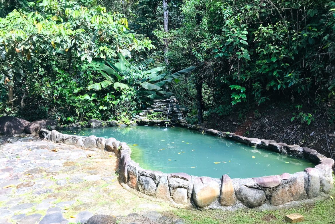 OCEAN VIEW ESTATE HOME WITH GUEST BUNGALOW, CARETAKER HOME, FRUIT TREES, AND WATERFALL – 3.47 ACRES