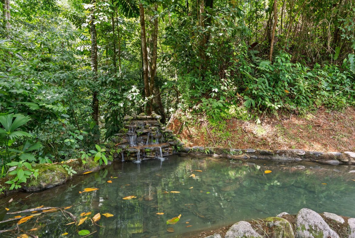 OCEAN VIEW ESTATE HOME WITH GUEST BUNGALOW, CARETAKER HOME, FRUIT TREES, AND WATERFALL – 3.47 ACRES