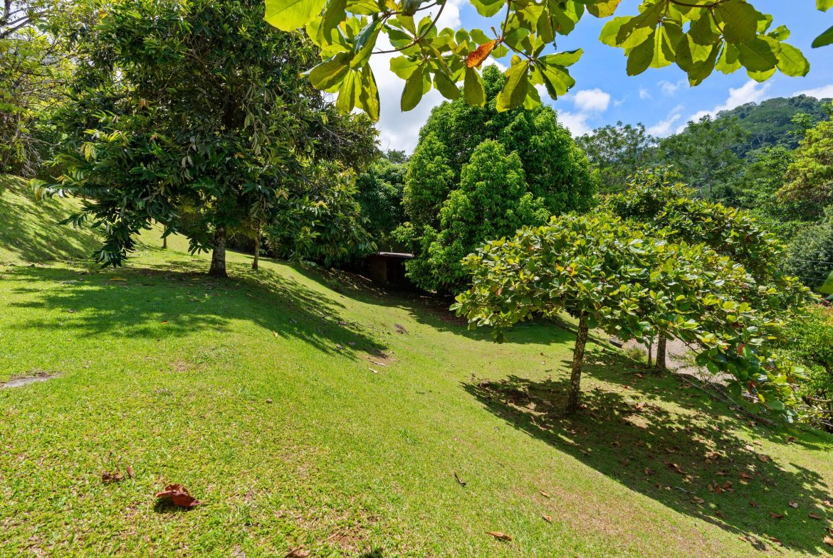 OCEAN VIEW ESTATE HOME WITH GUEST BUNGALOW, CARETAKER HOME, FRUIT TREES, AND WATERFALL – 3.47 ACRES
