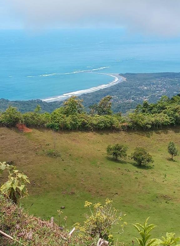 OFF-GRID MOUNTAIN PARADISE WITH LIVESTOCK, CREEKS, AND MORE – 331 ACRES AT VILLA FLOR