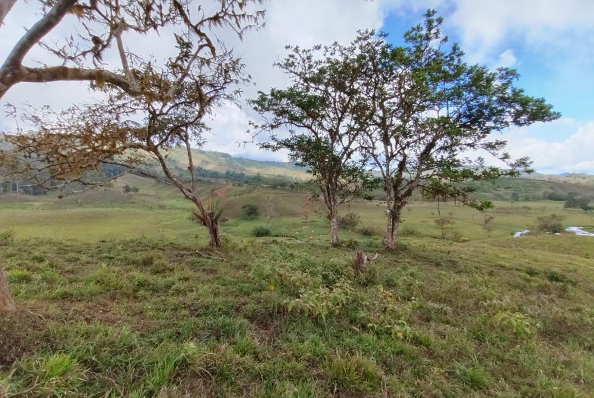 OFF-GRID MOUNTAIN PARADISE WITH LIVESTOCK, CREEKS, AND MORE – 331 ACRES AT VILLA FLOR