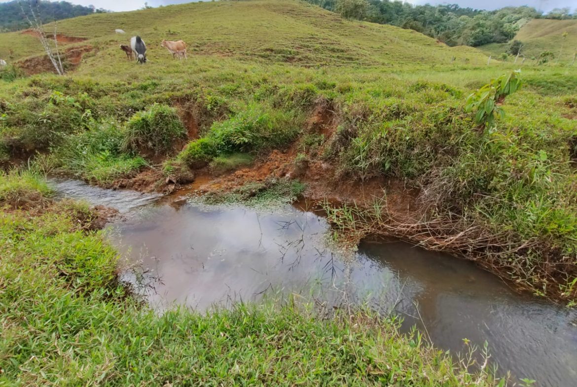 OFF-GRID MOUNTAIN PARADISE WITH LIVESTOCK, CREEKS, AND MORE – 331 ACRES AT VILLA FLOR
