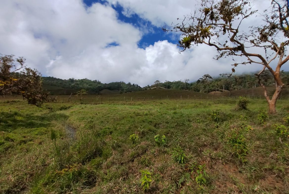 OFF-GRID MOUNTAIN PARADISE WITH LIVESTOCK, CREEKS, AND MORE – 331 ACRES AT VILLA FLOR