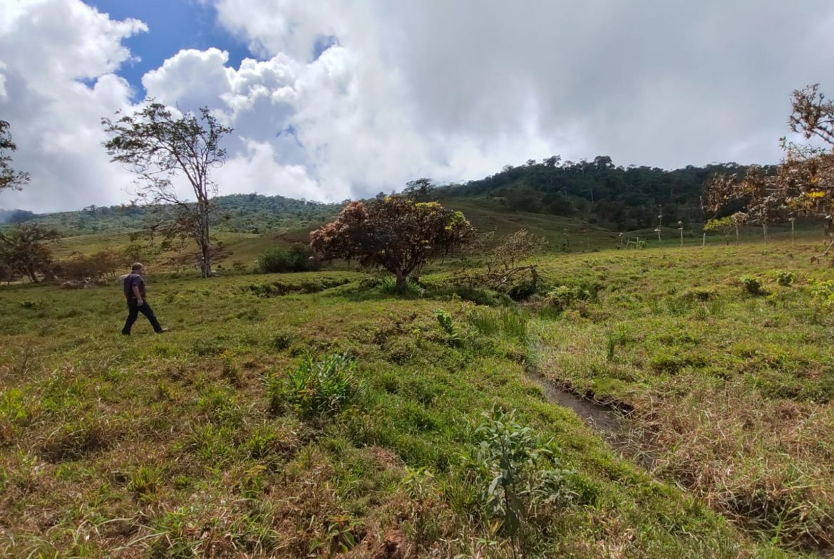 OFF-GRID MOUNTAIN PARADISE WITH LIVESTOCK, CREEKS, AND MORE – 331 ACRES AT VILLA FLOR
