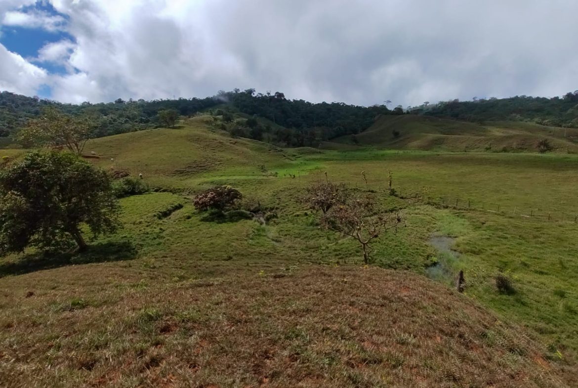 OFF-GRID MOUNTAIN PARADISE WITH LIVESTOCK, CREEKS, AND MORE – 331 ACRES AT VILLA FLOR