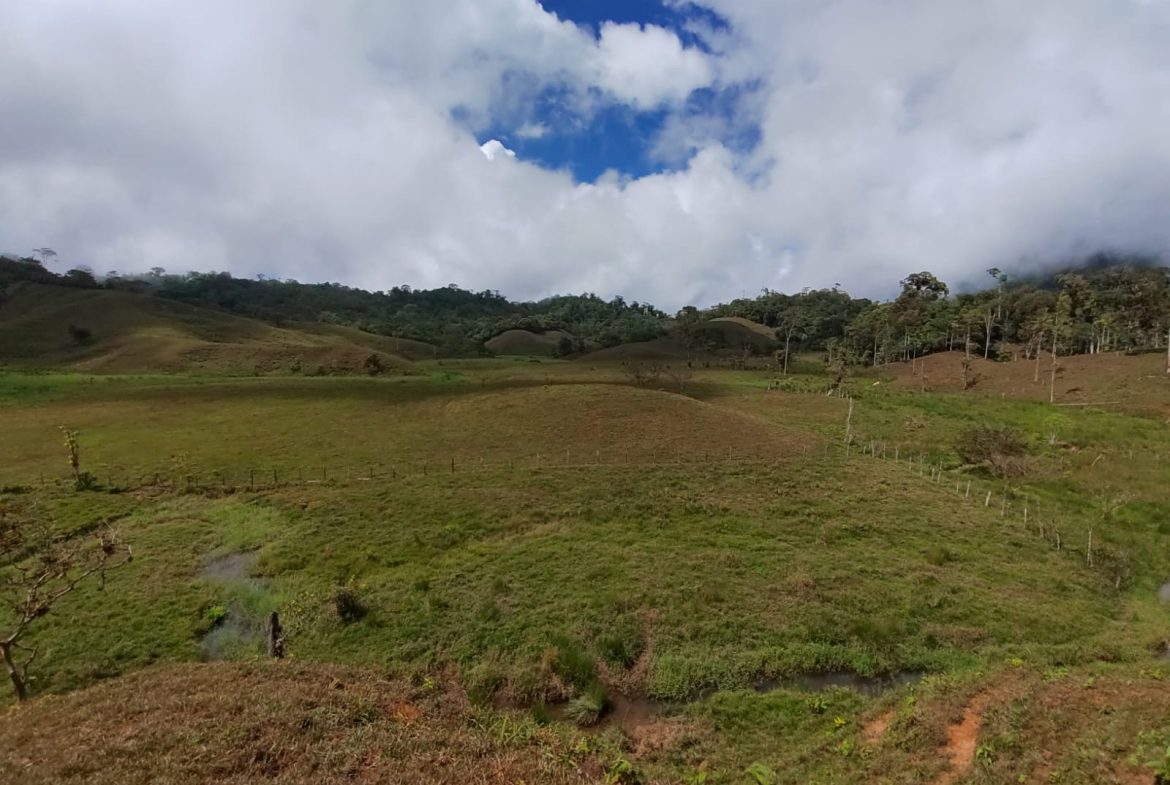 OFF-GRID MOUNTAIN PARADISE WITH LIVESTOCK, CREEKS, AND MORE – 331 ACRES AT VILLA FLOR