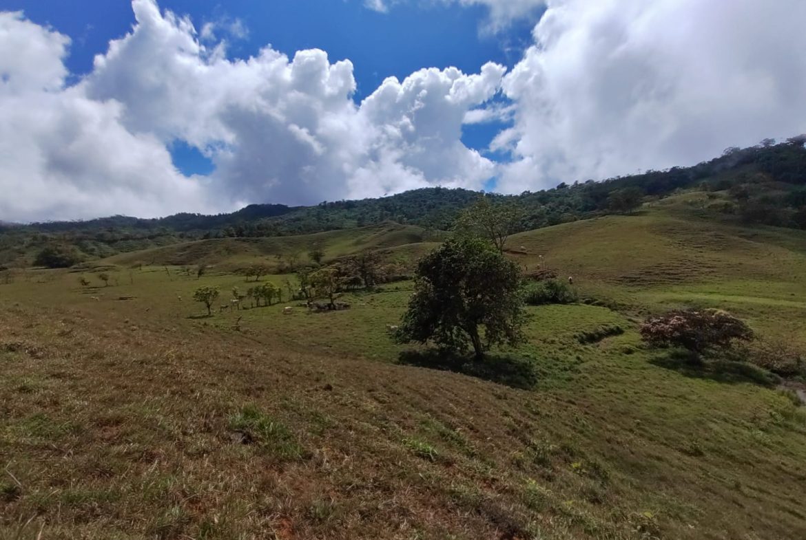 OFF-GRID MOUNTAIN PARADISE WITH LIVESTOCK, CREEKS, AND MORE – 331 ACRES AT VILLA FLOR