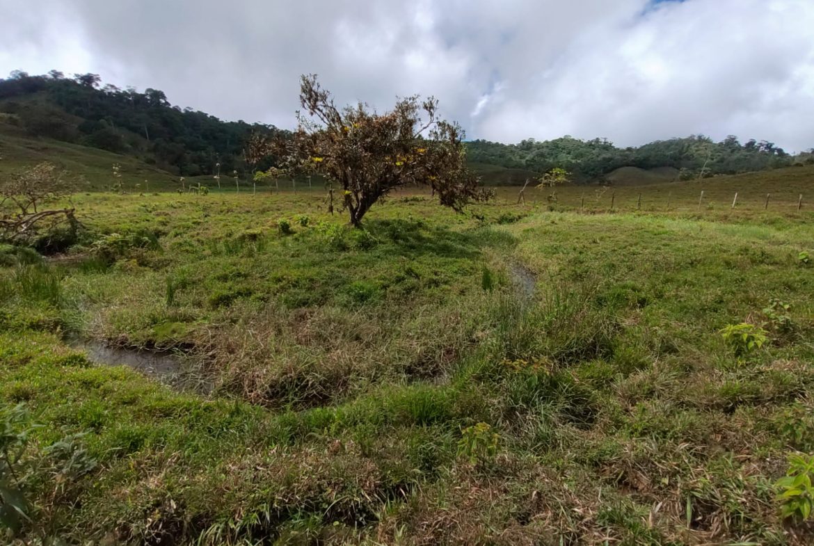 OFF-GRID MOUNTAIN PARADISE WITH LIVESTOCK, CREEKS, AND MORE – 331 ACRES AT VILLA FLOR