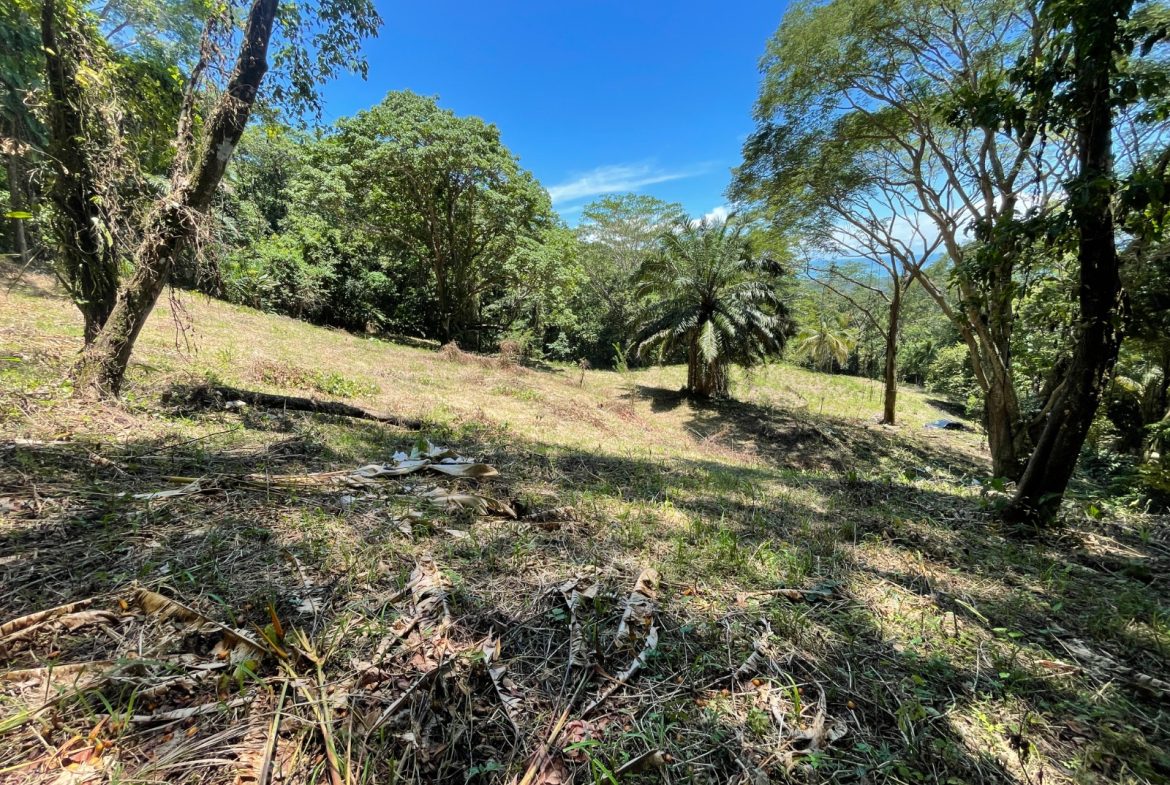 AMAZING OCEAN VIEW PARCEL – 5.4 ACRES