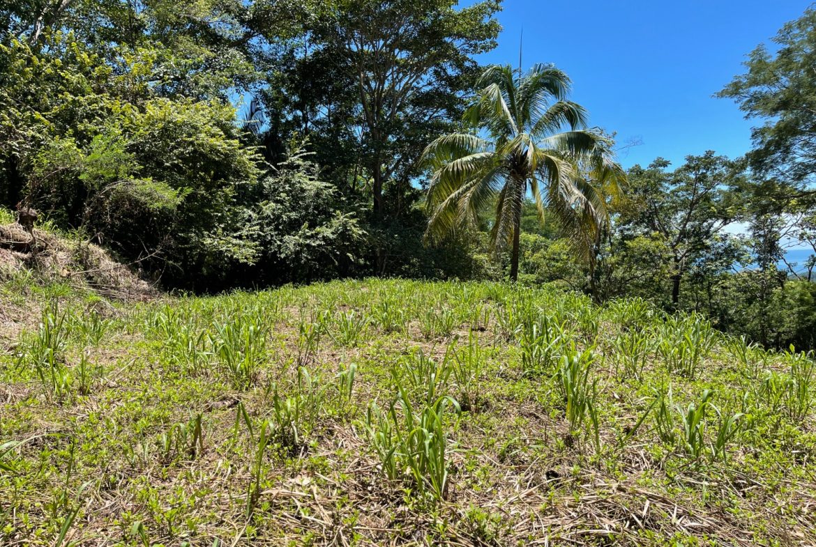 AMAZING OCEAN VIEW PARCEL – 5.4 ACRES