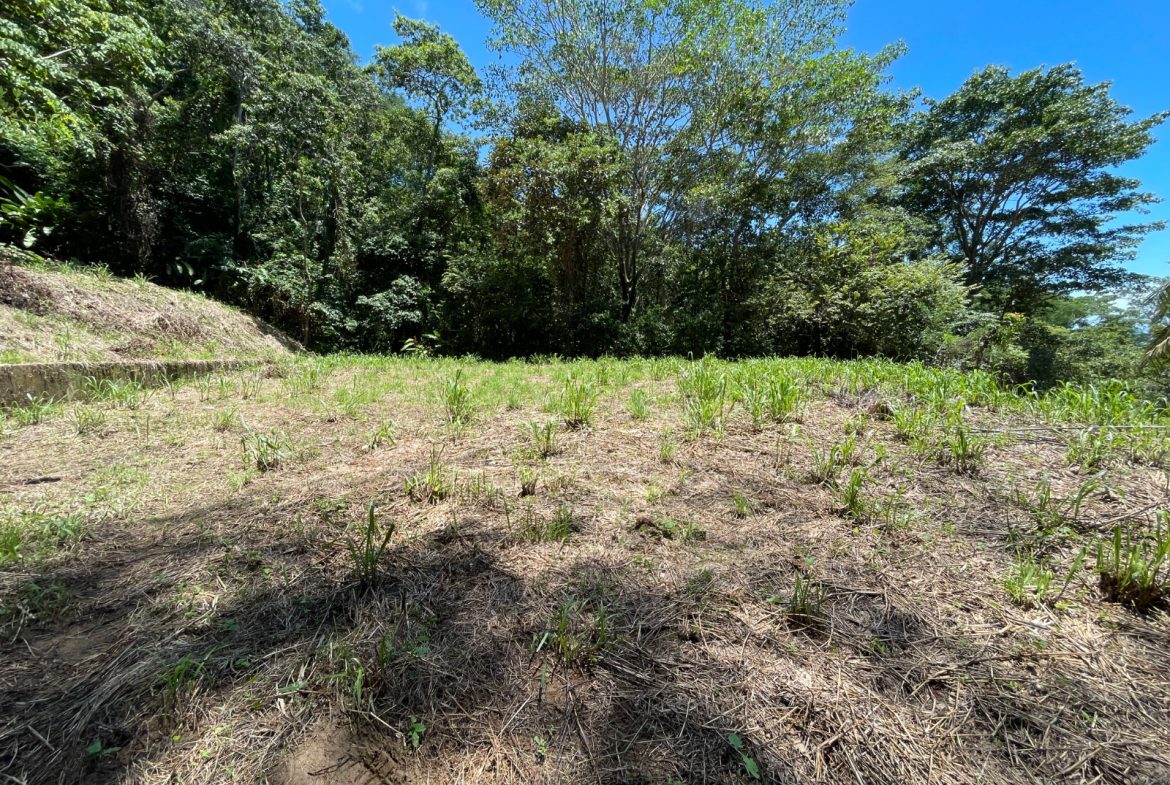 AMAZING OCEAN VIEW PARCEL – 5.4 ACRES
