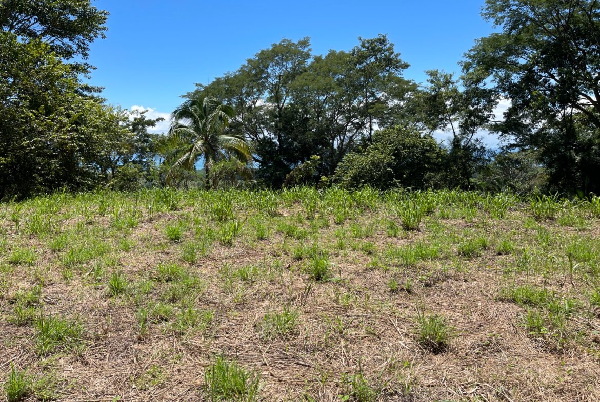 AMAZING OCEAN VIEW PARCEL – 5.4 ACRES