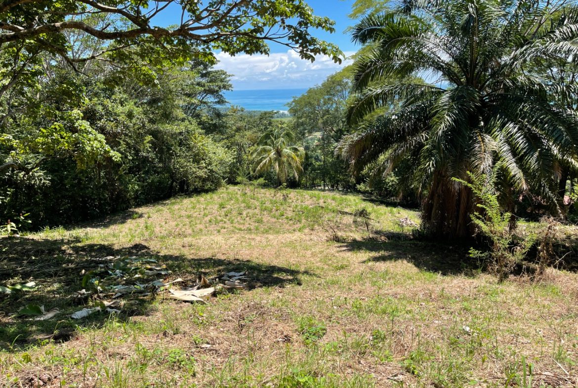 AMAZING OCEAN VIEW PARCEL – 5.4 ACRES