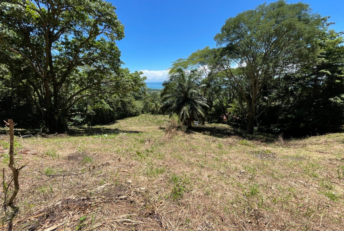 AMAZING OCEAN VIEW PARCEL – 5.4 ACRES