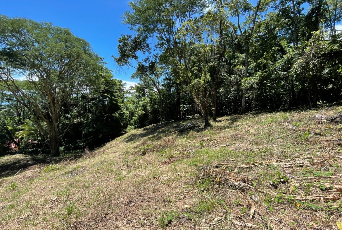 AMAZING OCEAN VIEW PARCEL – 5.4 ACRES