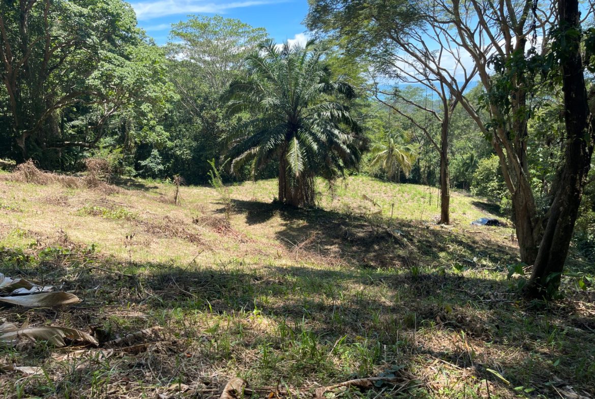 AMAZING OCEAN VIEW PARCEL – 5.4 ACRES