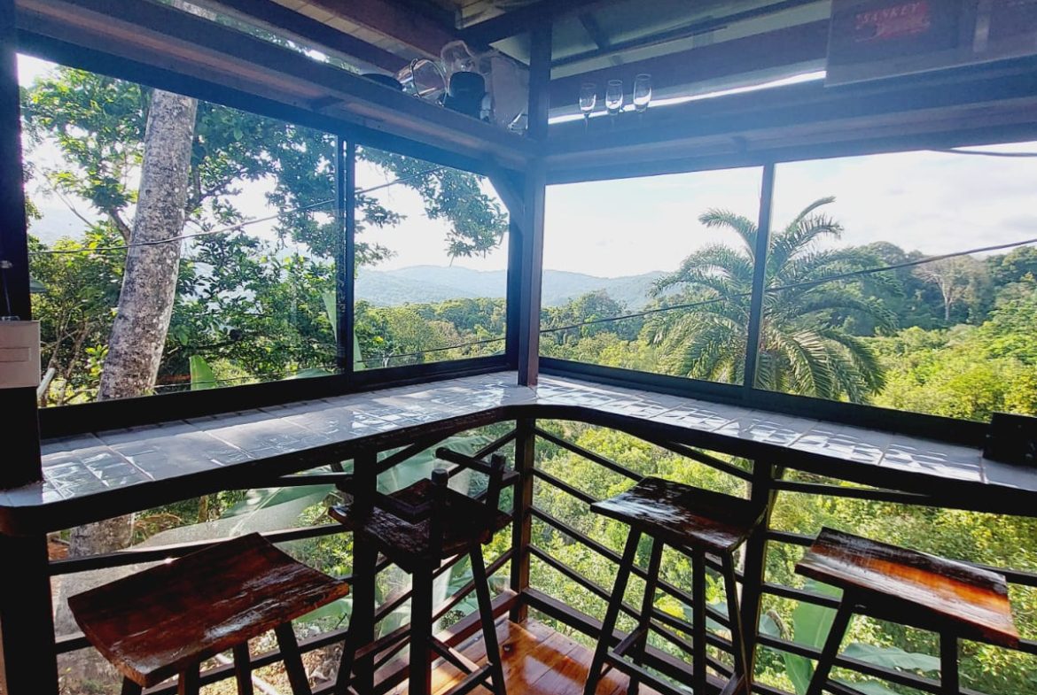 A SEAMLESS BLEND OF NATURE AND COMFORT WITH PAVED ACCESS – 17.1 ACRES