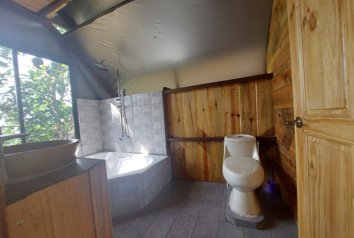 A SEAMLESS BLEND OF NATURE AND COMFORT WITH PAVED ACCESS – 17.1 ACRES