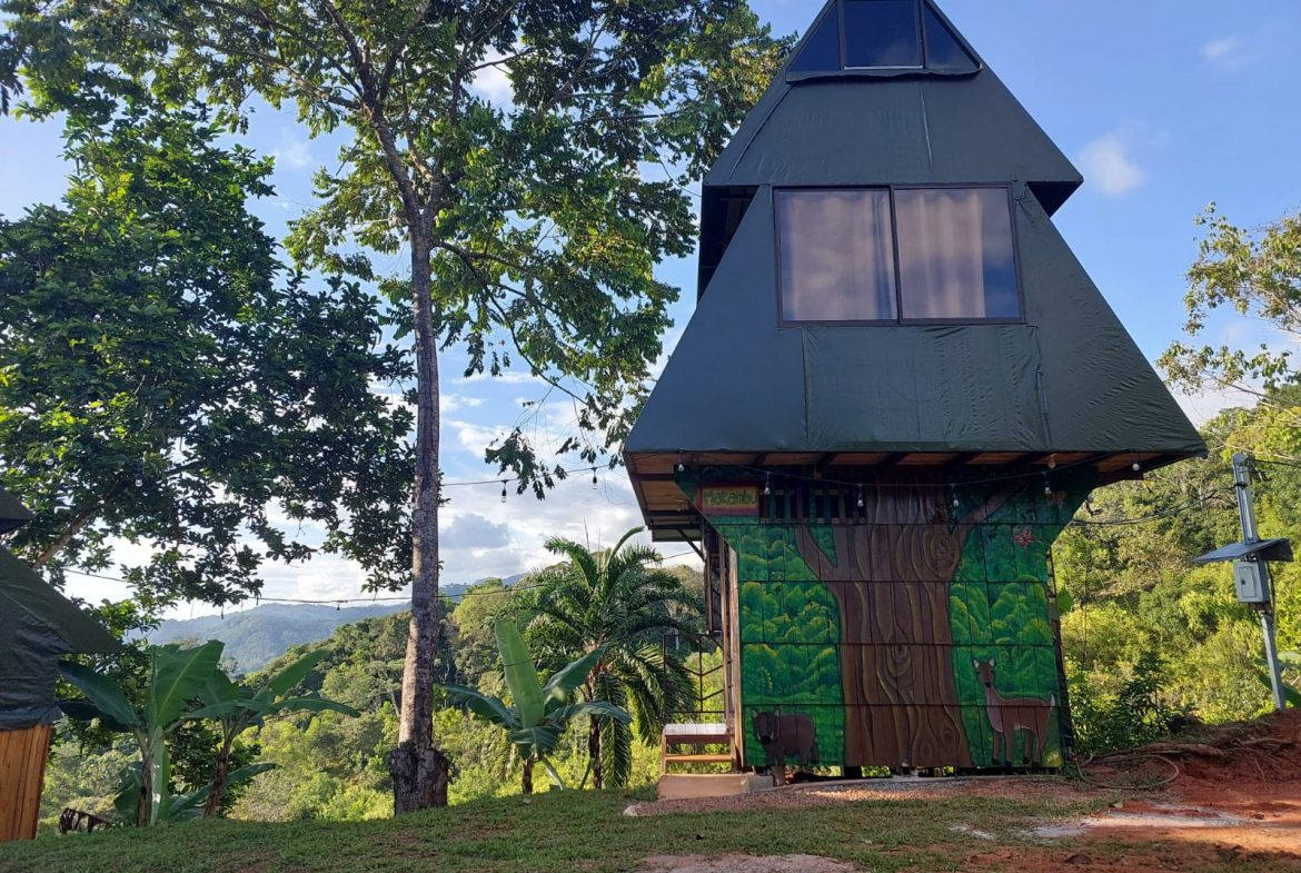 A SEAMLESS BLEND OF NATURE AND COMFORT WITH PAVED ACCESS – 17.1 ACRES