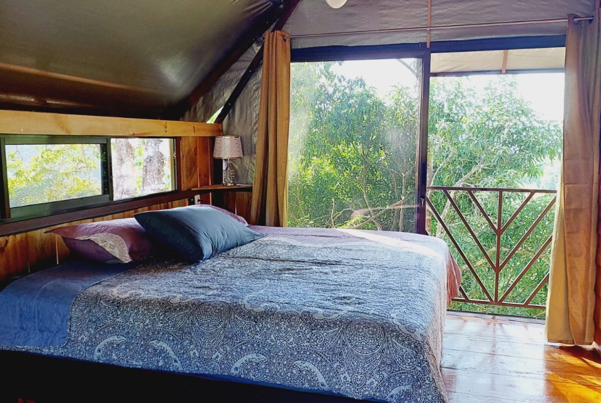 A SEAMLESS BLEND OF NATURE AND COMFORT WITH PAVED ACCESS – 17.1 ACRES