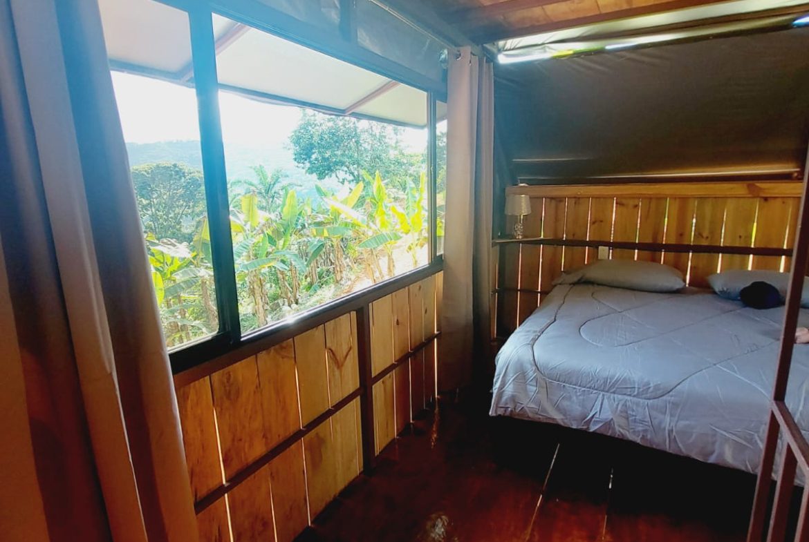 A SEAMLESS BLEND OF NATURE AND COMFORT WITH PAVED ACCESS – 17.1 ACRES