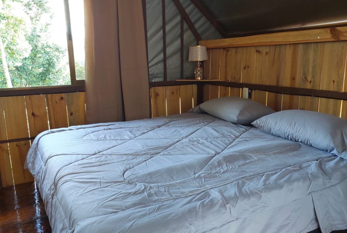A SEAMLESS BLEND OF NATURE AND COMFORT WITH PAVED ACCESS – 17.1 ACRES