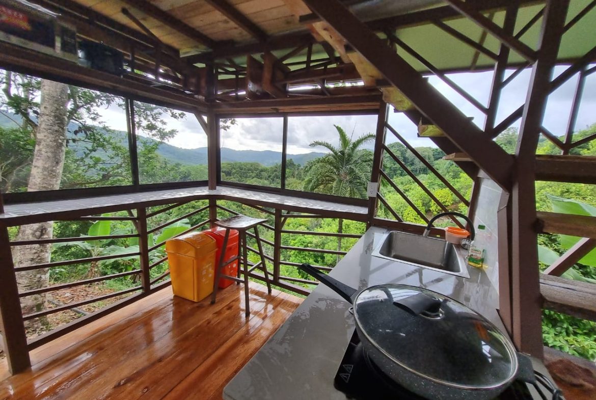 A SEAMLESS BLEND OF NATURE AND COMFORT WITH PAVED ACCESS – 17.1 ACRES