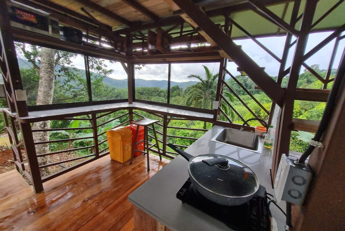 A SEAMLESS BLEND OF NATURE AND COMFORT WITH PAVED ACCESS – 17.1 ACRES